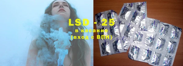 хмурый Абаза