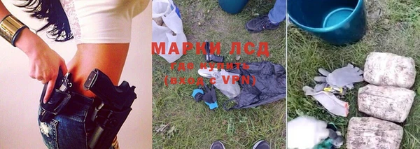хмурый Абаза